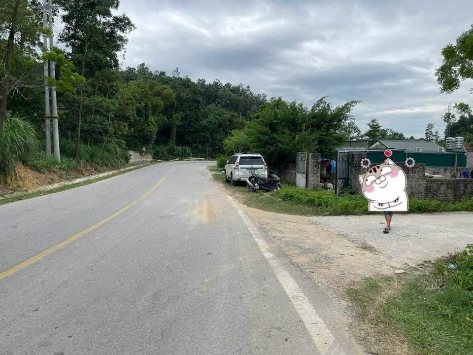 Bán đất trang trại Sơn Dương Hạ Long 20.866m² hơn 6 tỷ - Nghỉ dưỡng lý tưởng!