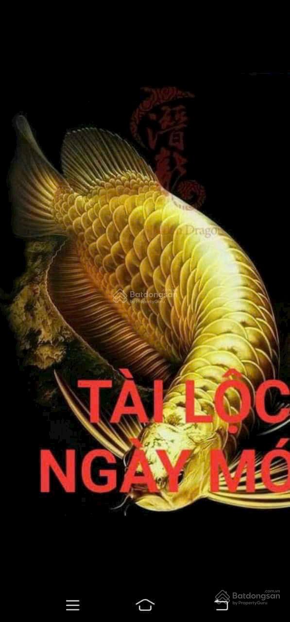 Bán Đất Nam Hòa Xuân Đà Nẵng - 100m² Hướng ĐN, Giá 6.25 Tỷ