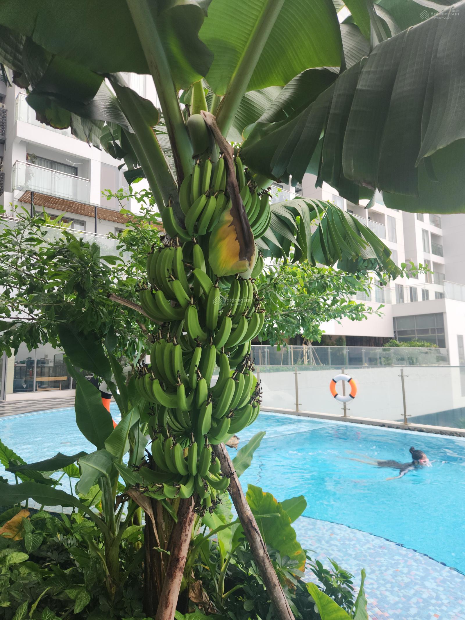 Thuê căn hộ Urban Green Thủ Đức 84m² giá 14 triệu - Full nội thất cao cấp!