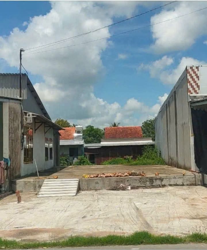 Đất Cây Lâu Năm Mặt Tiền QL54 Lấp Vò, Đồng Tháp - 108m² Giá Tốt Chỉ 700 Triệu