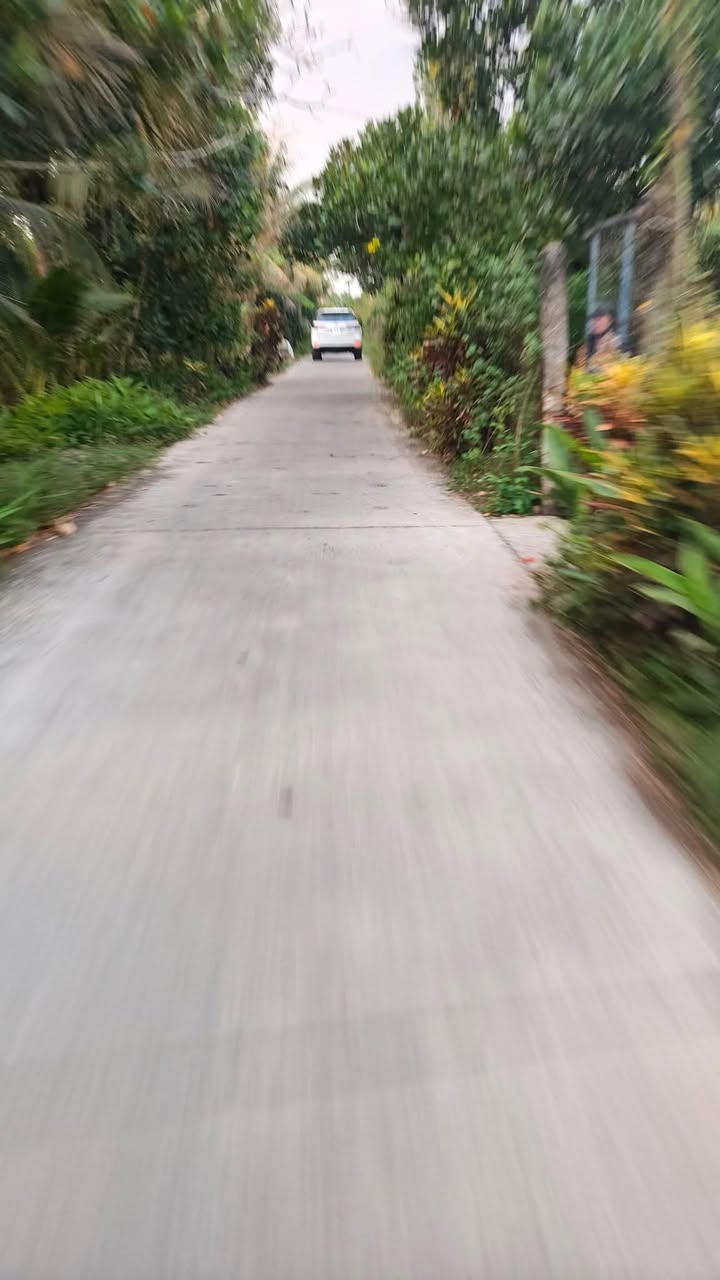 Bán Đất Nền Hiệp Đức, Cai Lậy 350m² - Sổ Đỏ Thổ Cư, Ô Tô Tới Nền