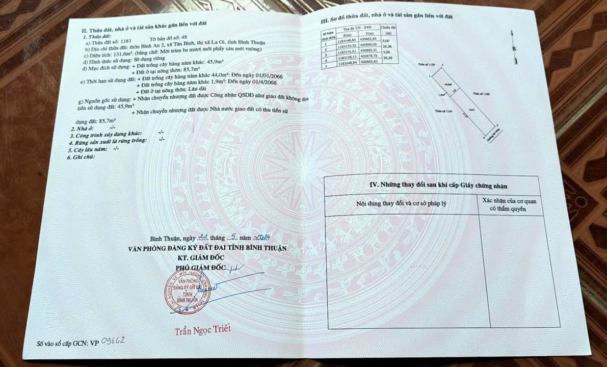 Đất nền Hàm Tân Bình Thuận 125m² giá 739 triệu - Sổ hồng chính chủ
