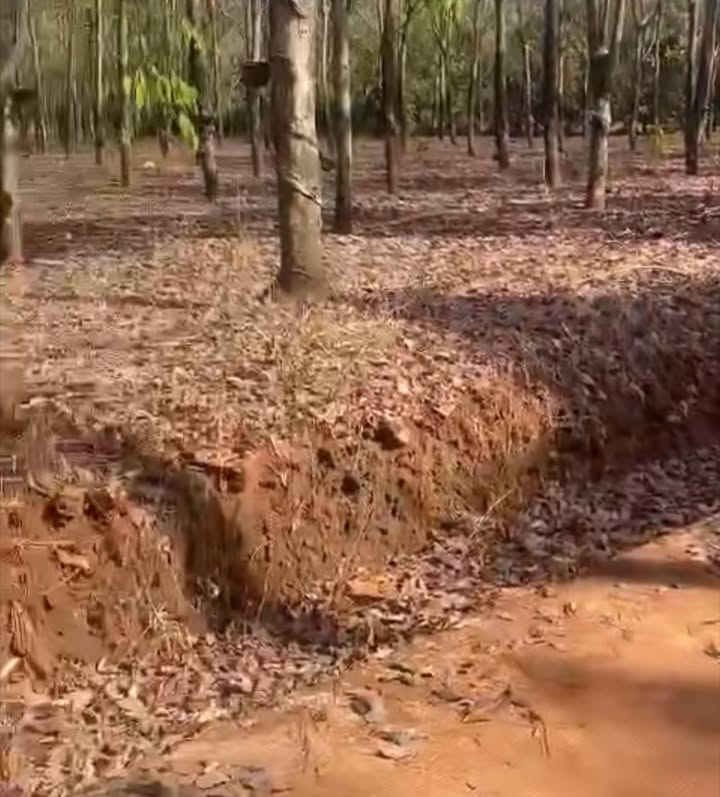 Đất nền Phước Bình, Phước Long 1.6ha - Mặt tiền 130m bê tông!