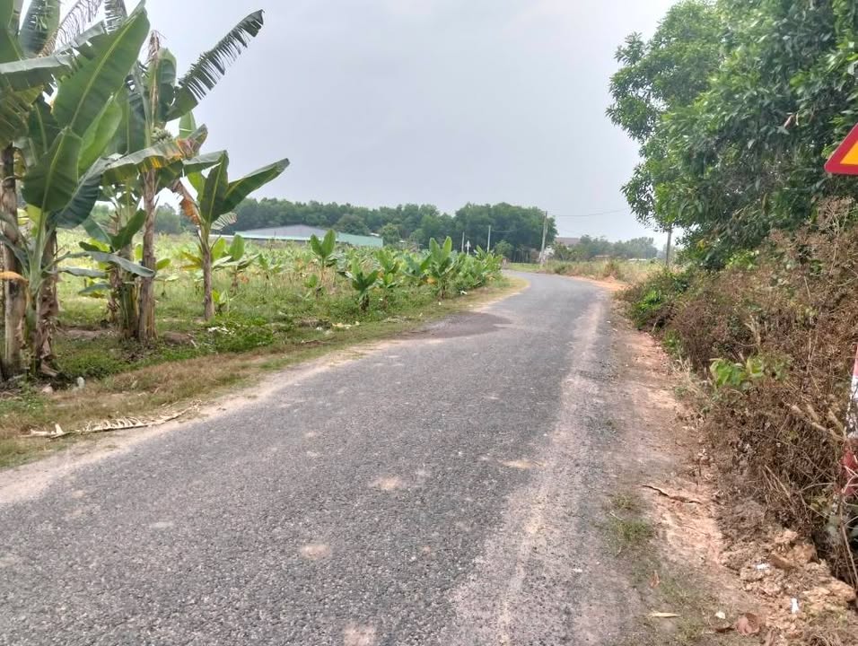 Đất nền Trí Bình Châu Thành 200m² giá 200 triệu - Sổ đỏ chính chủ