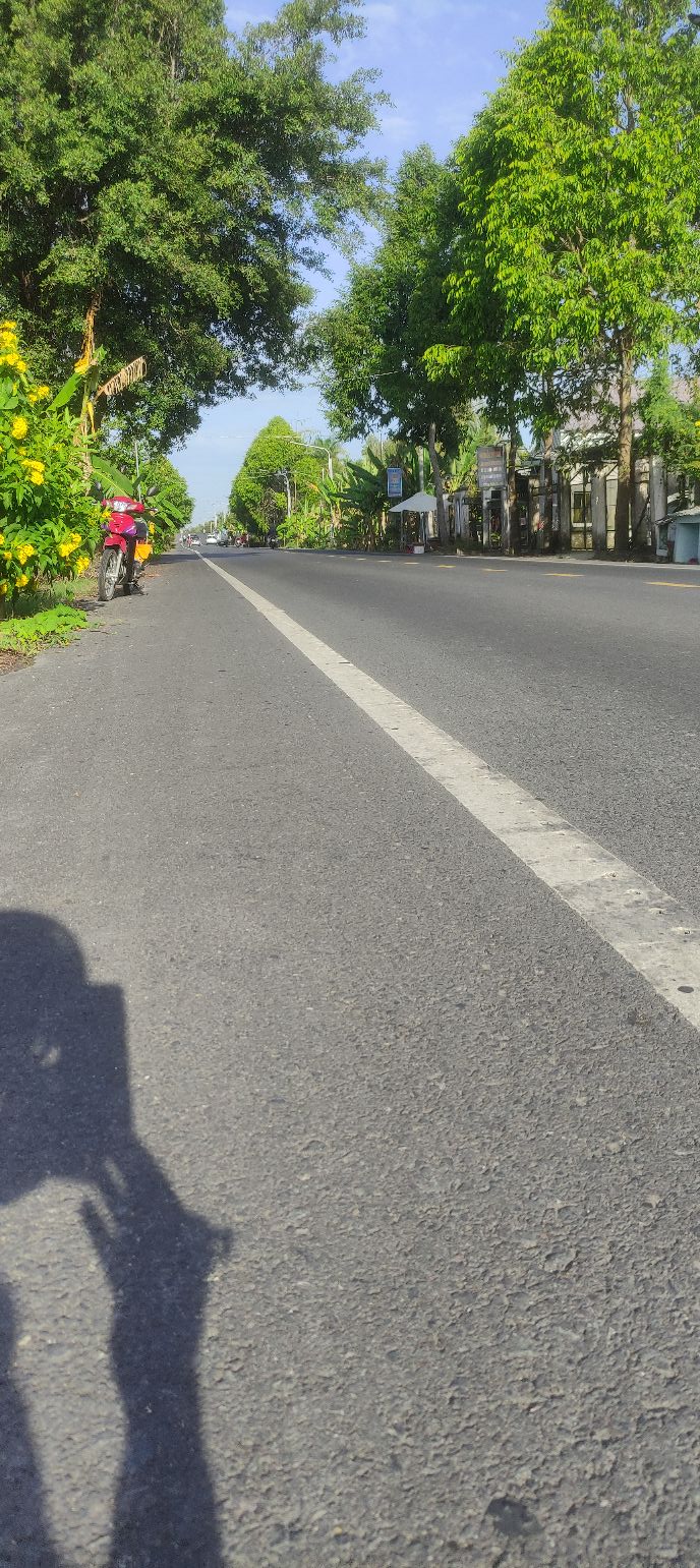 Đất Nền Đầu Tư Cần Thơ - 1000m² Giáp Lộ 919, Giá 1.65 Tỷ