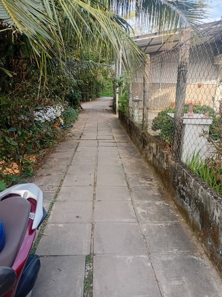 Bán nhà Phường An Bình Ninh Kiều 318m² giá 2.9 tỷ - Sẵn sàng ở ngay!