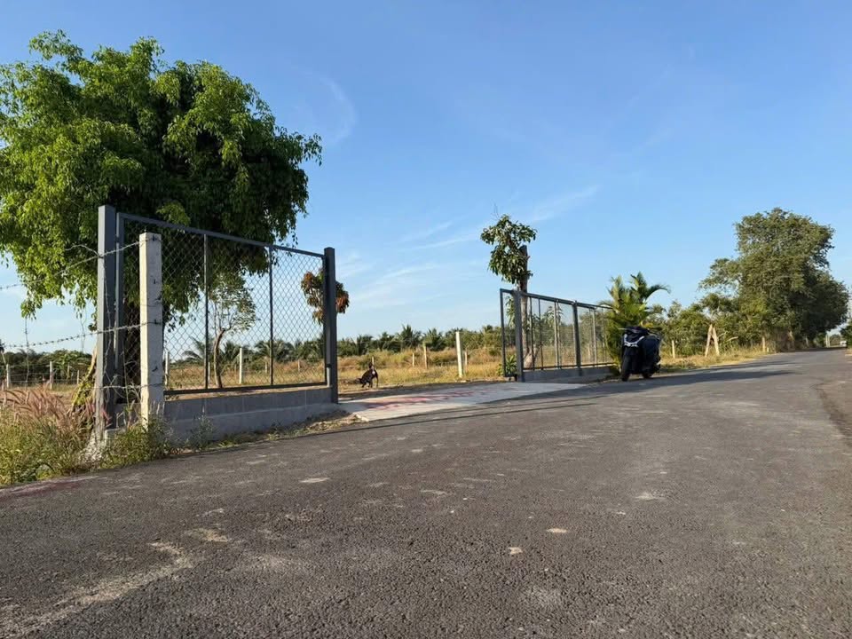 Đất Vàng Hồ Tràm 1000m² - Sổ Hồng Sẵn Sàng, Đường Nhựa 14m - Giá Đầu Tư 2.2 Tỷ