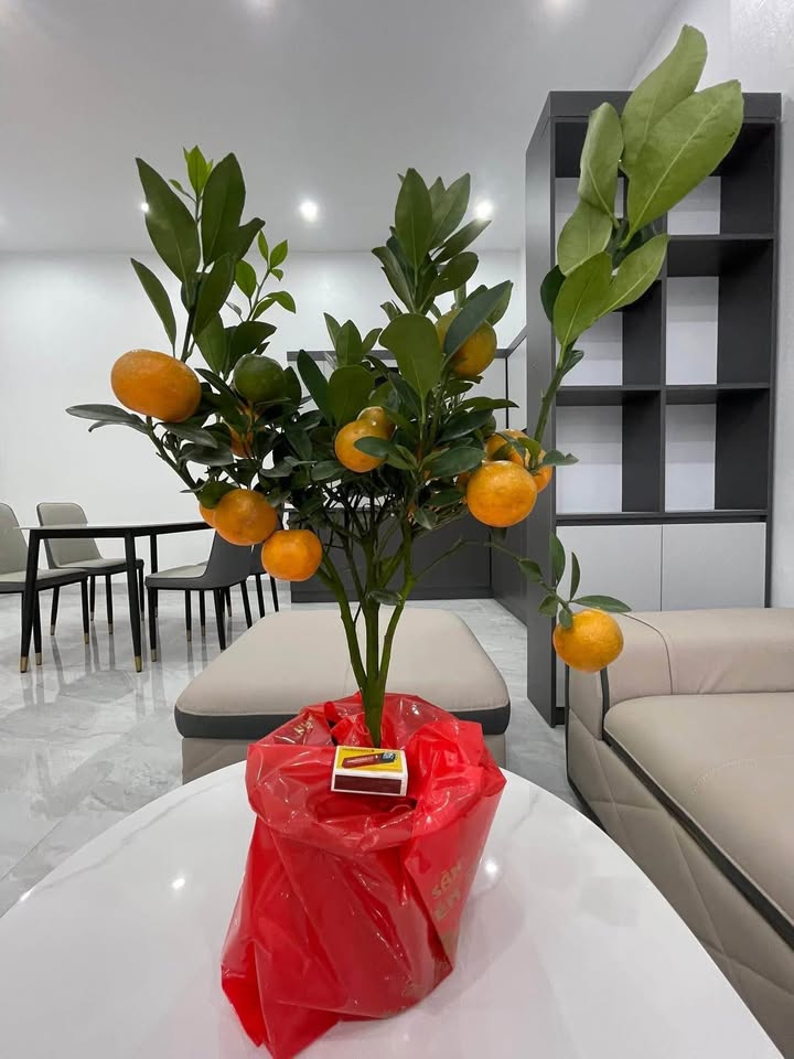 Nhà 3 Tầng TP Hải Dương 42m² - Ô tô vào tận nhà, 2.18 Tỷ!