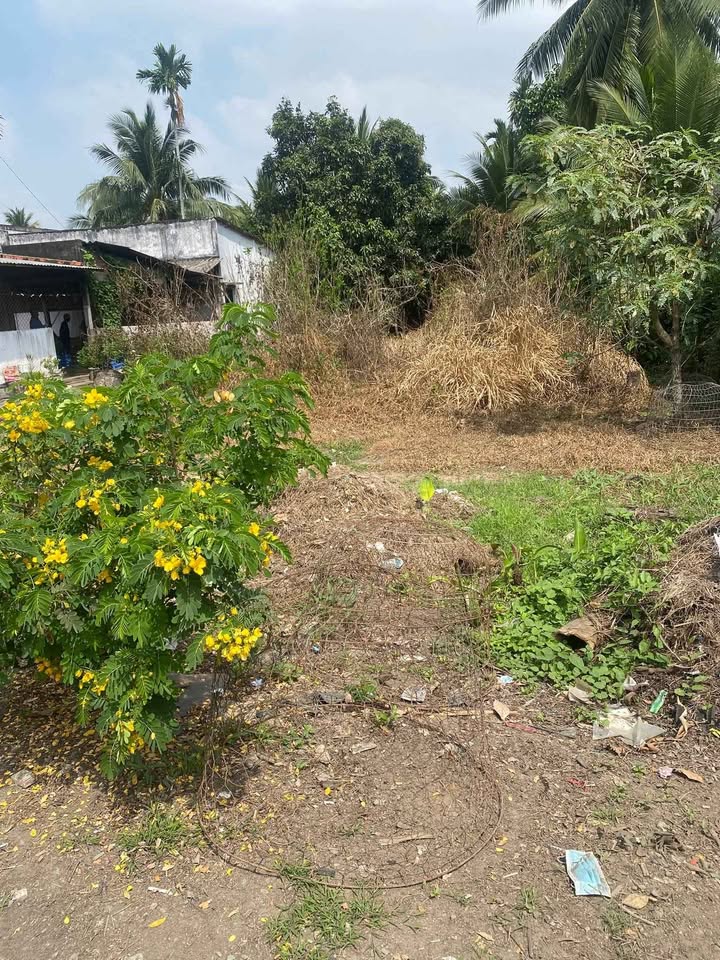 Đất Nền Mặt Tiền Đường Huyện-03, Châu Thành, Bến Tre - 490m² Giá 2.3 Tỷ