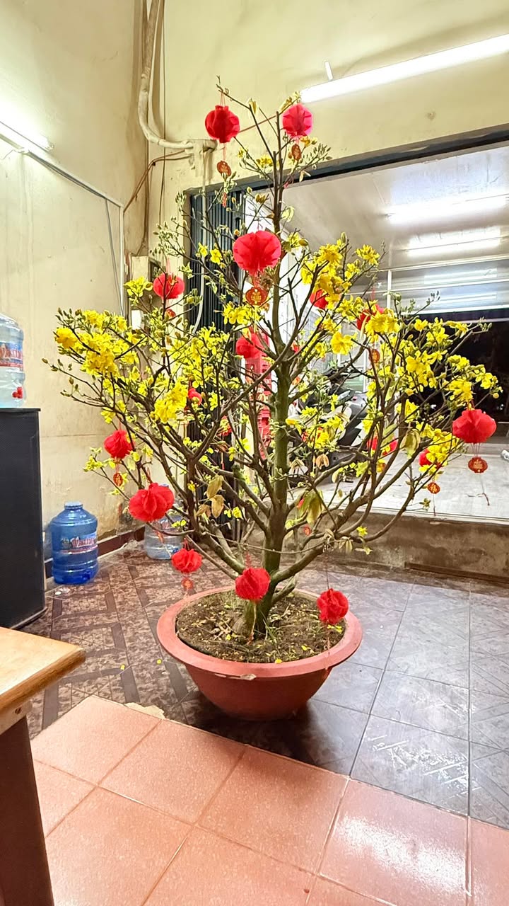 Nhà 2 Lầu 15m² Gần Chợ Hiệp Thạnh - Giá 850 Triệu, Sẵn Ở Ngay