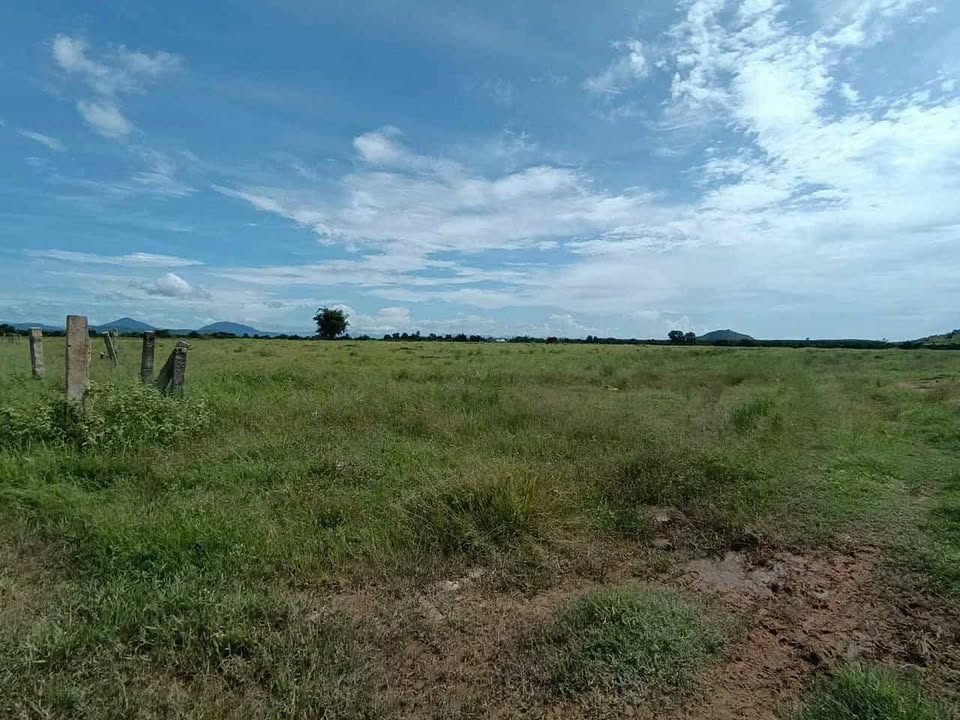 Bán 3.9ha Đất Thuận Hòa, Hàm Thuận Bắc - Sẵn Sàng Làm Trang Trại, Giá 850 Triệu/ha