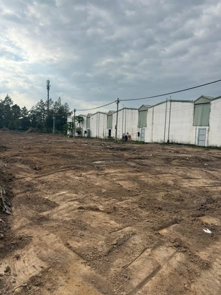 Đất nền Bàu Bàng 120m² chỉ từ 1 tỷ - Sổ đỏ chính chủ