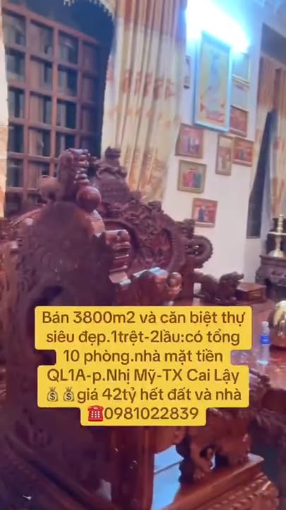 Biệt thự 3800m² mặt tiền QL1A, Cai Lậy - 42 Tỷ, Cơ hội đầu tư vàng