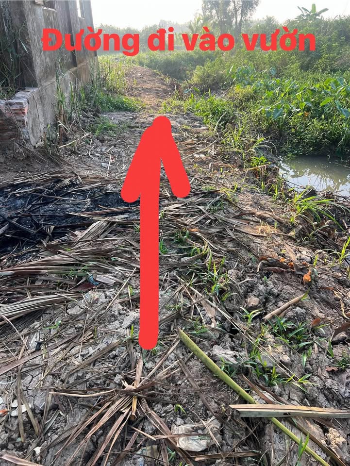 Đất vườn Bình Minh Vĩnh Long 2000m² giá 700 triệu - Nghỉ dưỡng lý tưởng