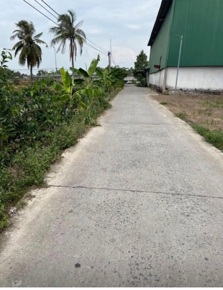 Đất Nền Thủ Thừa 154m² - Sổ Hồng Trao Tay, Giá 1.35 Tỷ!