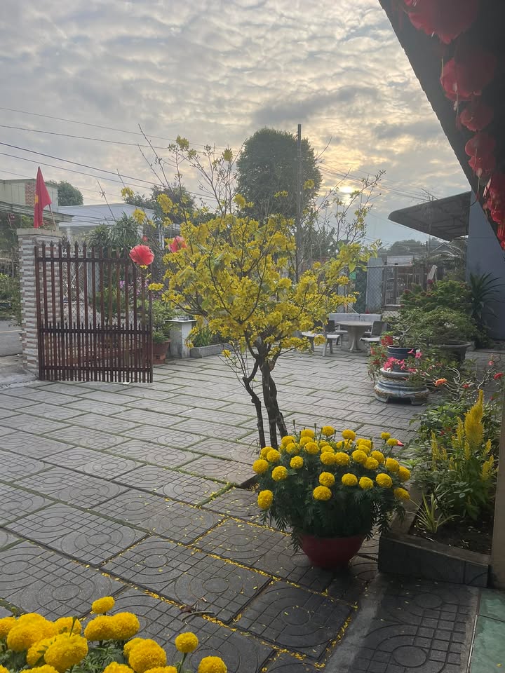 Đất nền An Ngãi 507m² - Đất thổ cư 100%, tiềm năng đầu tư!