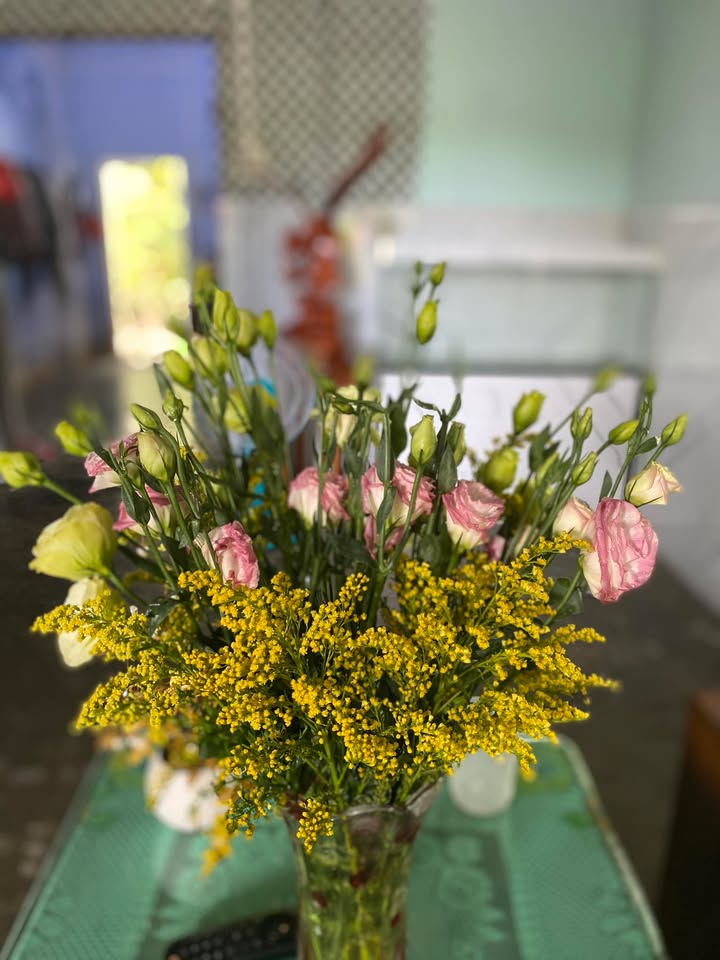 Đất nền Ninh Hiệp, Ninh Hòa 130m² - Sổ đỏ chính chủ, giá tốt!