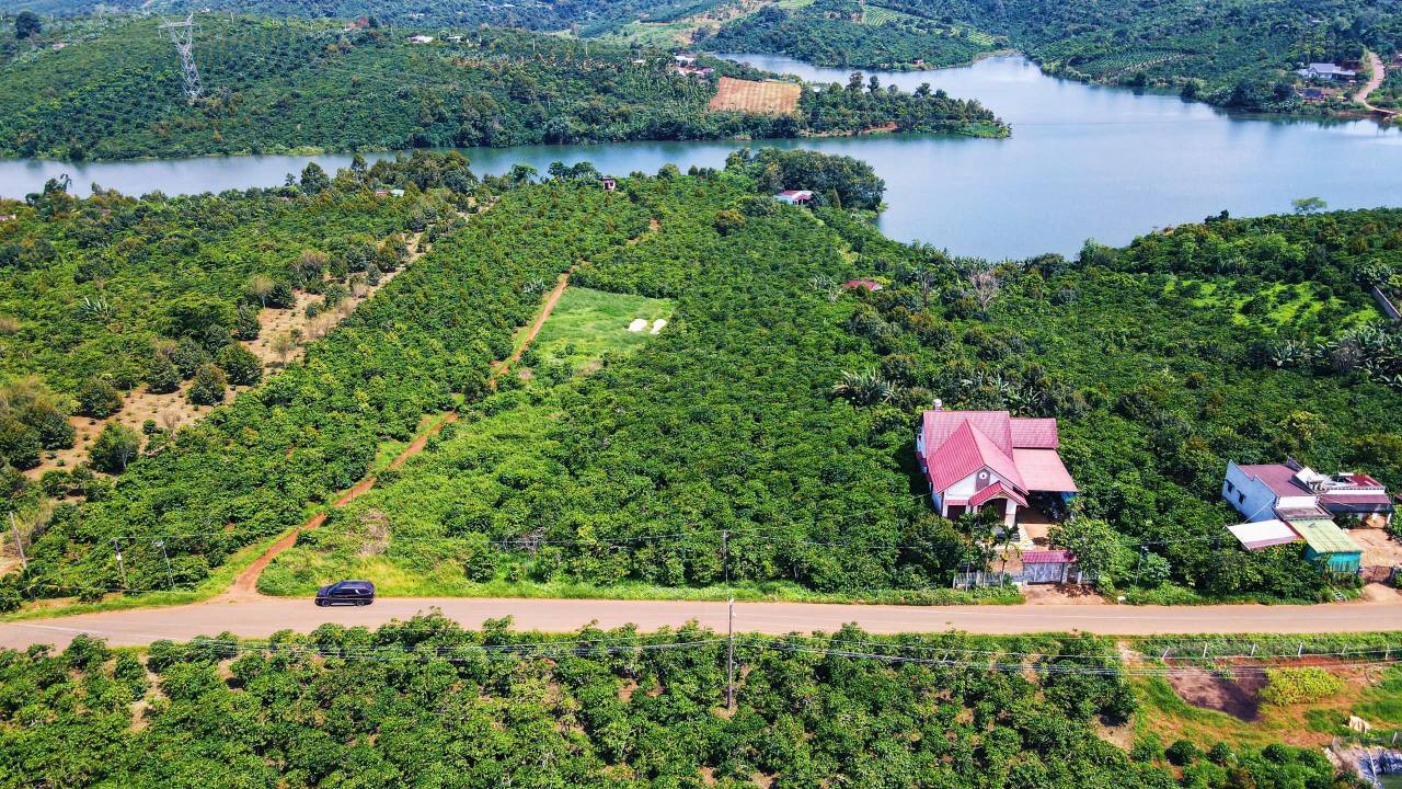 Đất Vườn 19.411m² Mặt Hồ 3 Mặt Tiền, Kế Cao Tốc Liên Khương - Bảo Lộc