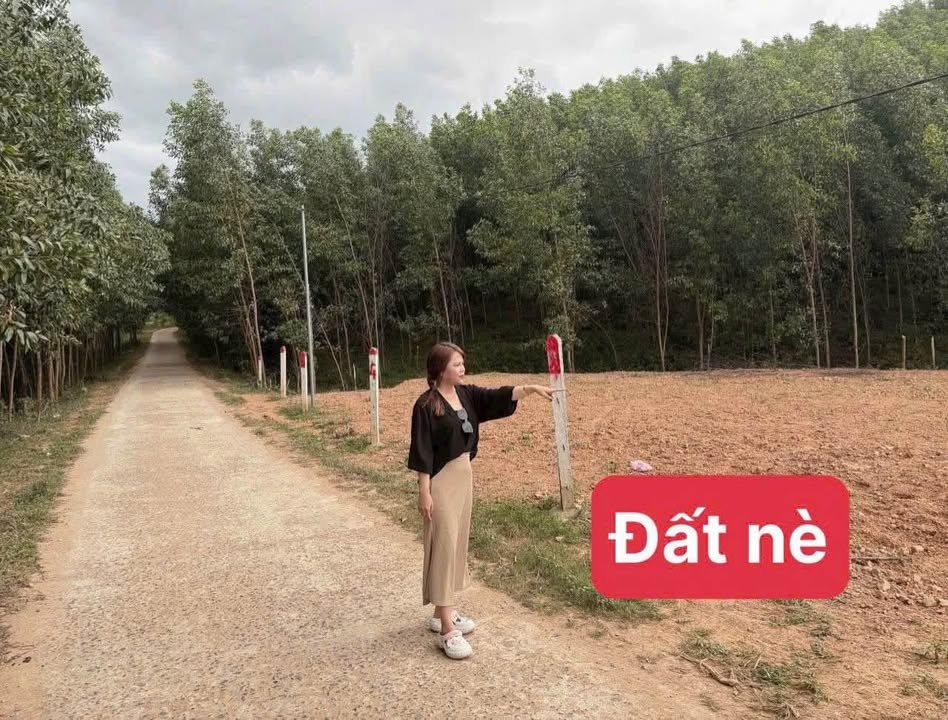 Đất Khánh Đông 122m² giá 290 triệu - Sổ đỏ chính chủ, đường to ô tô!