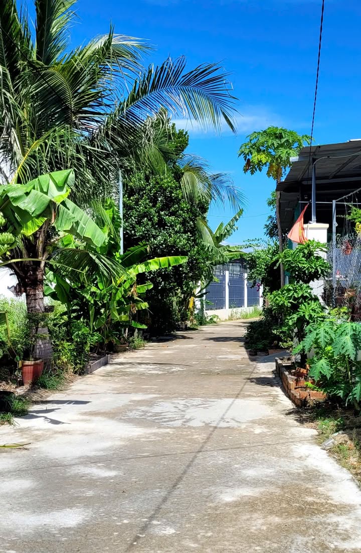 Đất Vườn 281.6m² Sát Nha Trang - Giá 1.99 Tỷ, Sổ Hồng Chính Chủ