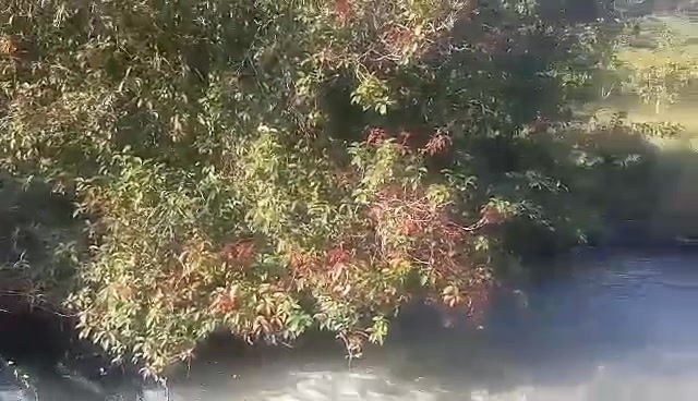 Bán Đất Vườn Liên Đầm Di Linh 2880m² - Nghỉ Dưỡng Lý Tưởng!