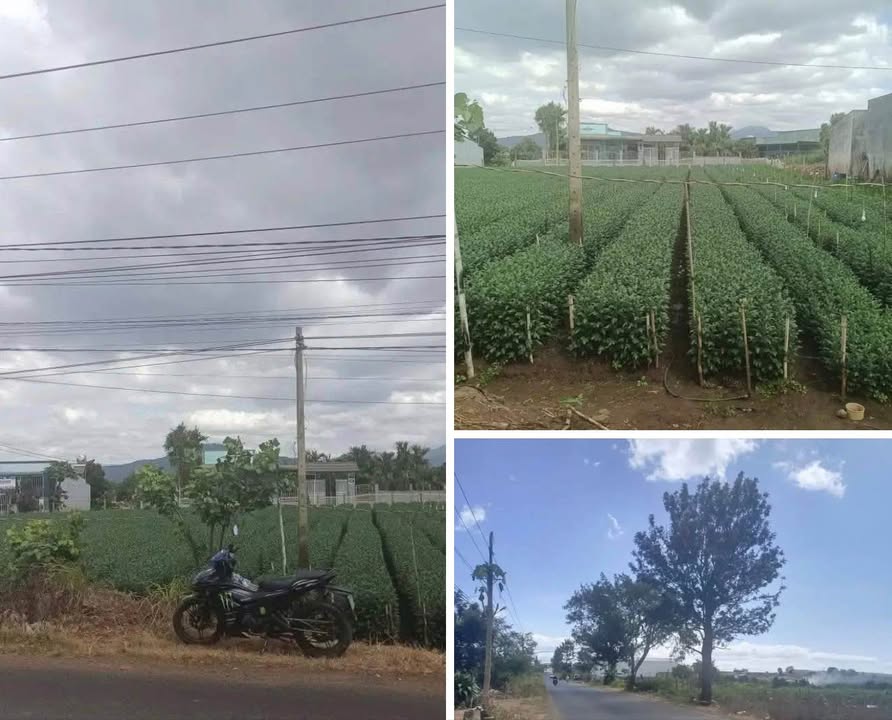 Bán đất 2 mặt tiền Lê Hồng Phong Đức Trọng 570m² giá 5.1 tỷ cực đẹp