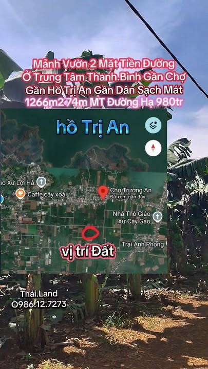 Đất Vườn Trảng Bom 1266m² Giá 980 Triệu - Nghỉ Dưỡng Lý Tưởng!