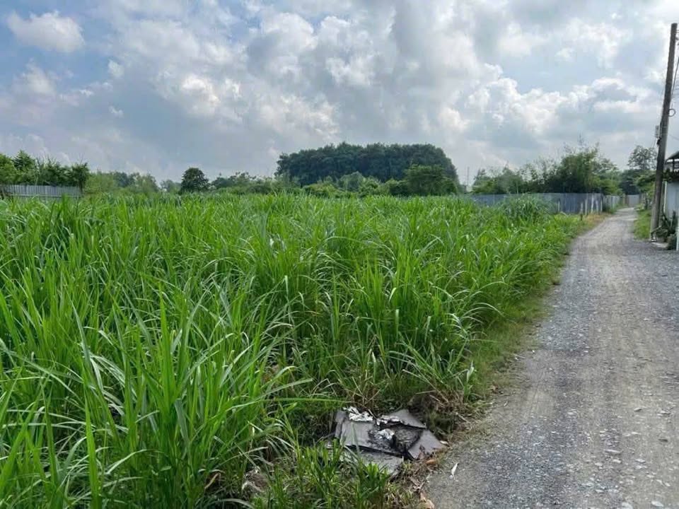 Bán đất Hòa Phú Củ Chi 1000m² giá 5.2 tỷ - Sổ hồng sẵn, tiềm năng cực lớn!