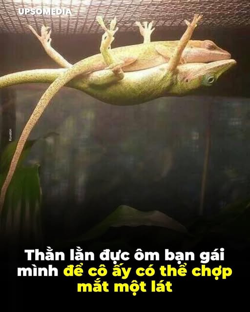 Đất nền Xuyên Mộc BRVT 119m² giá 730 triệu - Sổ hồng sẵn!