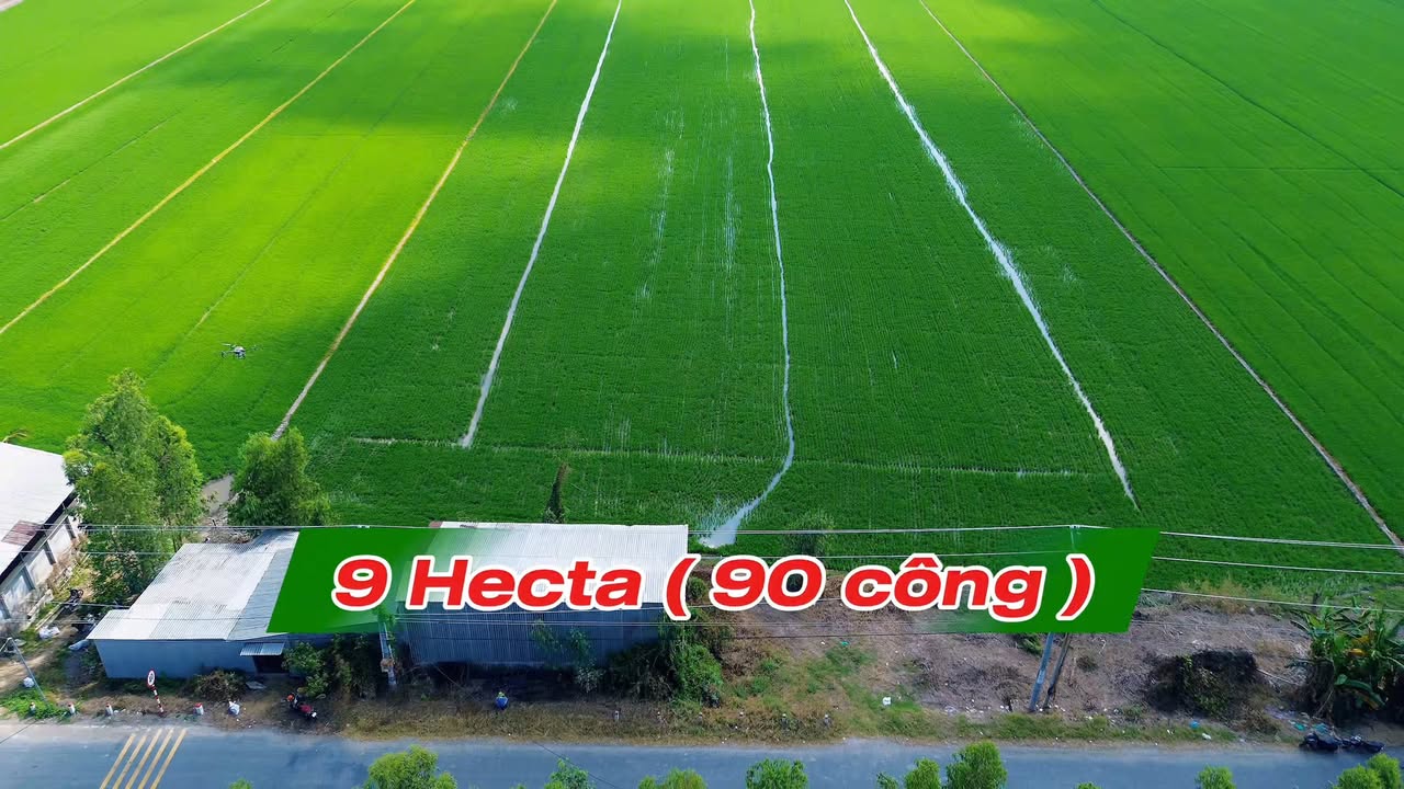 Đất lúa 90.000m² Xã Cô Tô, Tri Tôn - Tiềm năng tăng giá vượt trội!