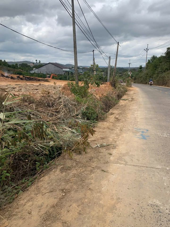 Đất mặt tiền TL3 Krông Nô 350m² giá 800 triệu - Vị trí kinh doanh!