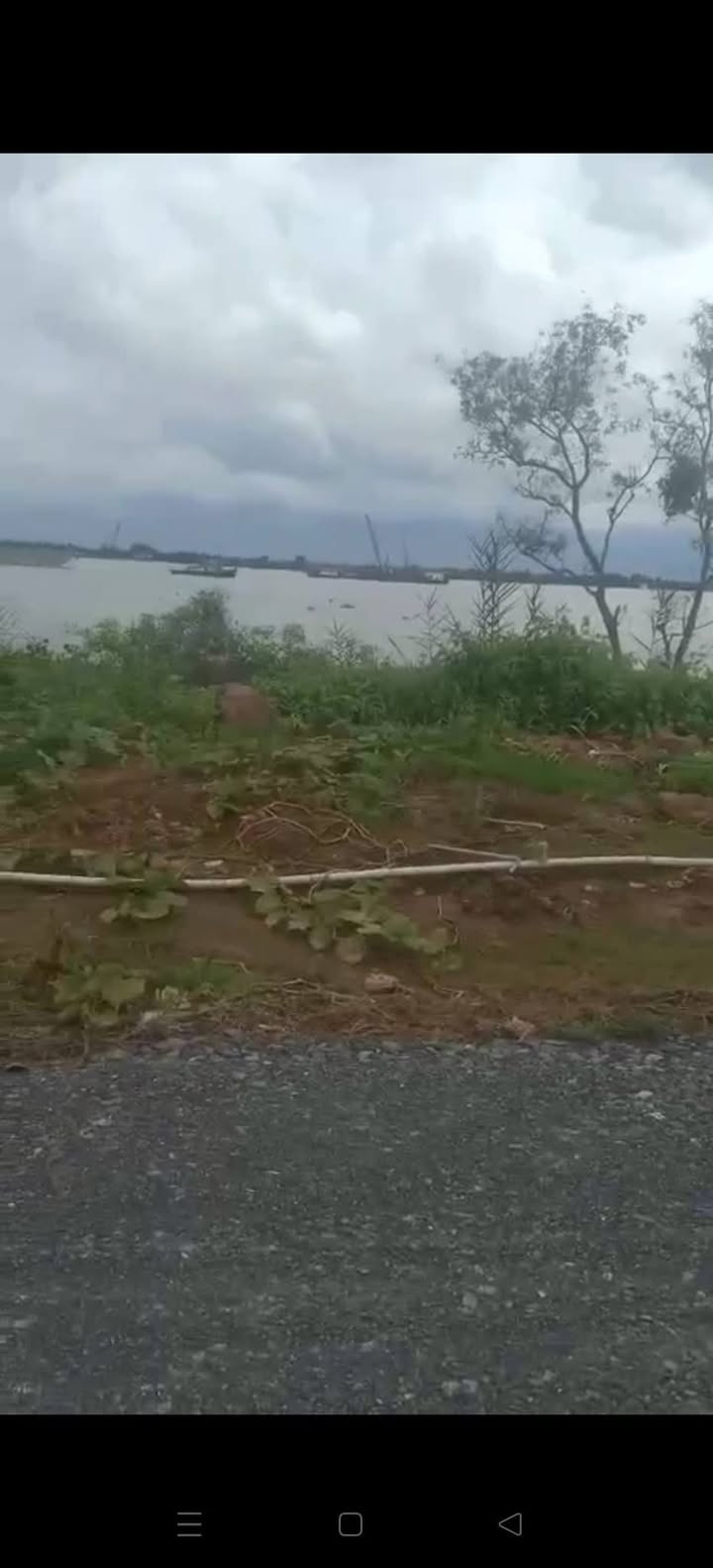 Đất Vườn Tiền Giang 2500m² - Sổ Đỏ Rõ Ràng, Giá Đầu Tư