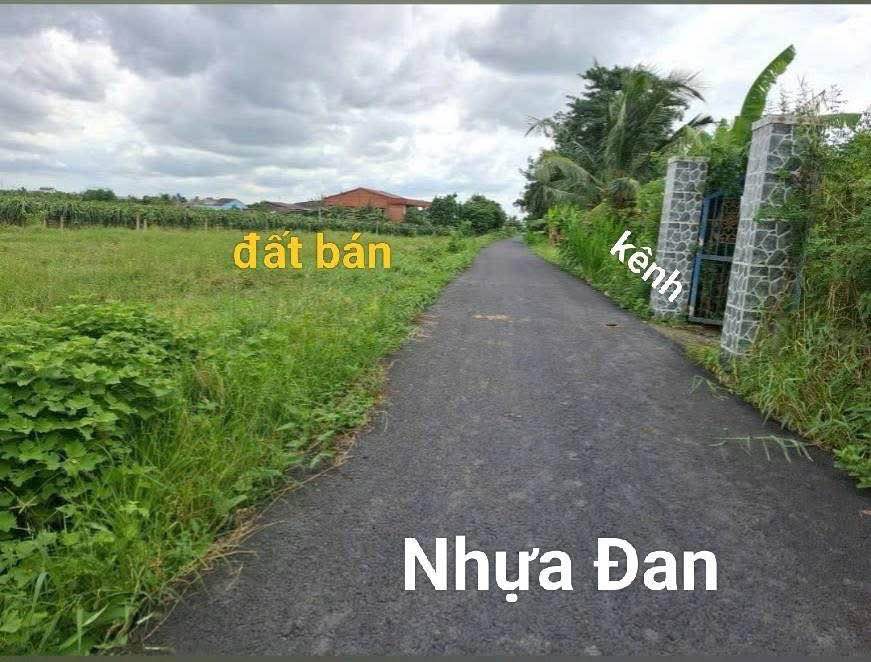 Đất nền Long An - Sổ đỏ chính chủ, đường ô tô, giá chỉ từ 320 triệu