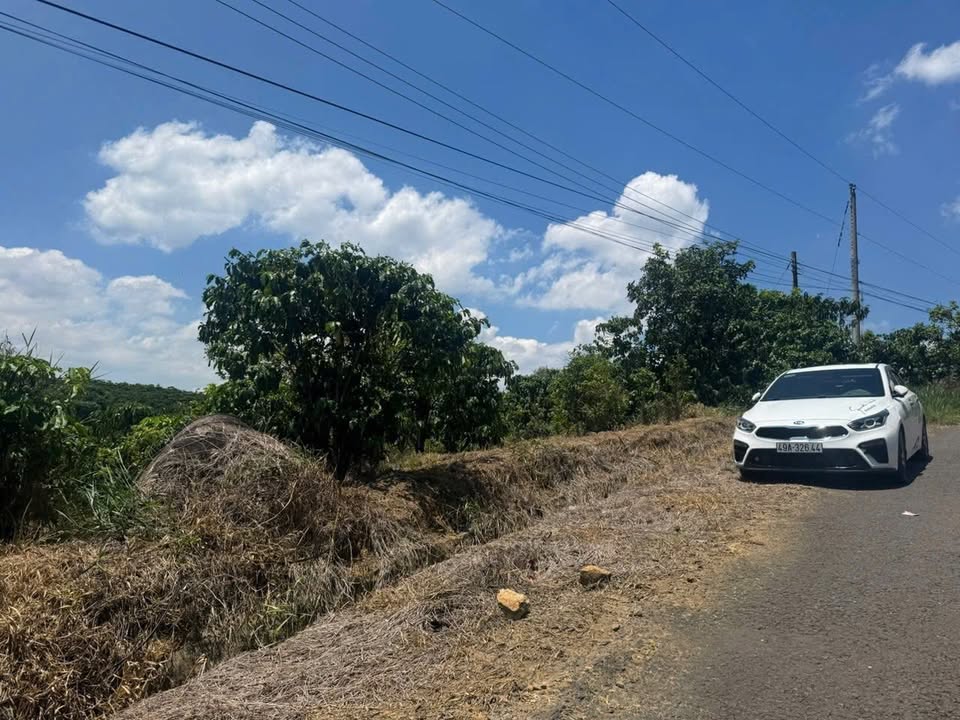 Đất Nền Lộc Đức Bảo Lâm 9000m² - Quy Hoạch Thổ Cư, Sổ Đỏ Sẵn!