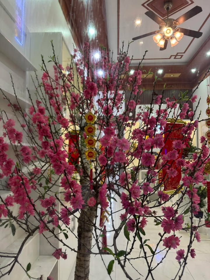 Bán Đất Nền Đại Từ, Thái Nguyên - 100m² Sổ Đỏ Full Thổ Cư, Kinh Doanh Tốt