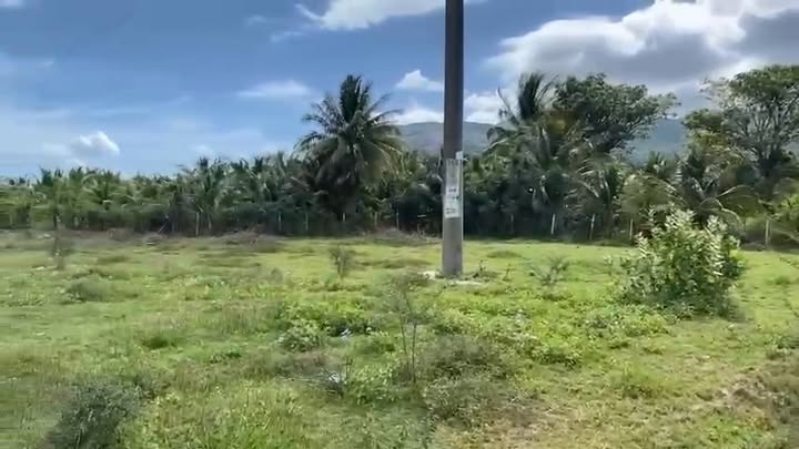 Đất Vườn 8000m² Ven Vịnh Cam Ranh - Sổ Hồng HNK - Giá Tốt Đầu Tư