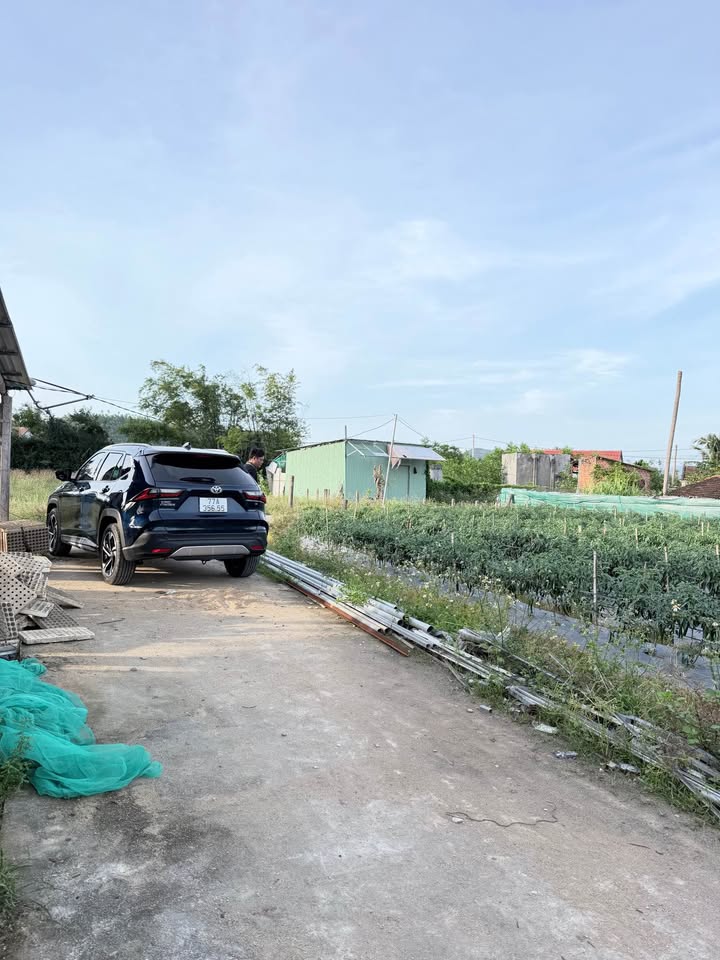 Đất nền Vạn Ninh 1, Phù Mỹ 100m² - Sổ đỏ chính chủ, đường ô tô!