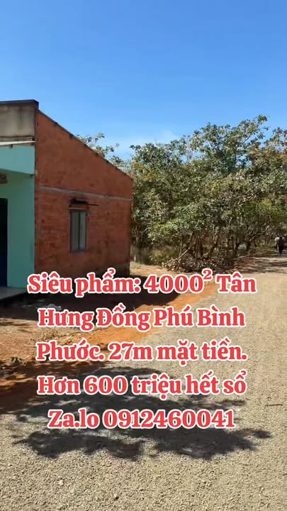 Farm 4000m² Sổ Hồng Riêng Tại Đồng Phú, Bình Phước - Giá Đầu Tư 6xx Triệu