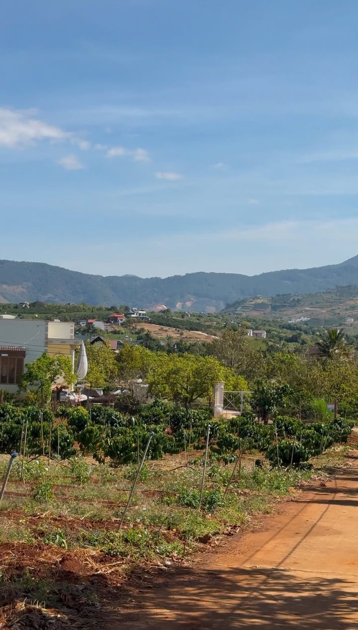 Đất nền Gia Lâm 1000m² - Giá đầu tư tốt, tiềm năng sinh lời!