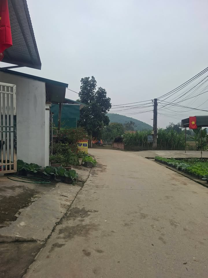 Nhà Phố Xã Trung Môn 225m² - Mặt tiền kinh doanh!