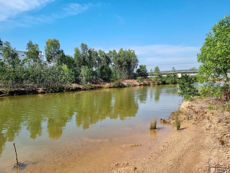 Đất vườn Giang Thành Kiên Giang 11.4ha giá 21.5 tỷ - Vị trí đắc địa