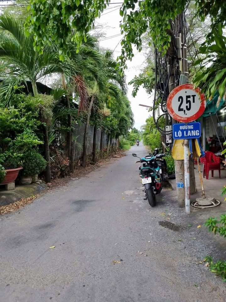 Đất Vườn 800m² Mặt Tiền Lộ Làng, Châu Thành - Giá 1.99 Tỷ