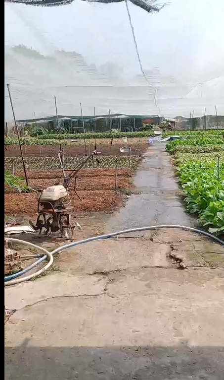 Bán Lô Đất Đẹp 1.800m² Tại Hóc Môn, Giá Cực Tốt chỉ 10 triệu /m2