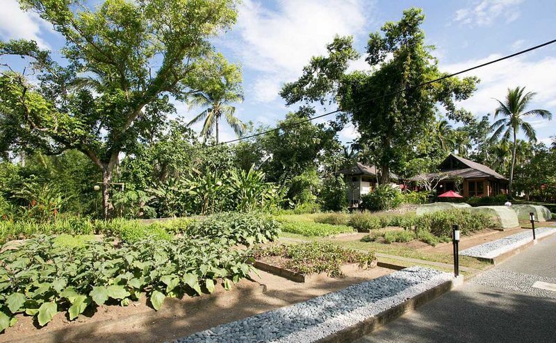 Trang trại kết hợp nghỉ dưỡng sinh thái