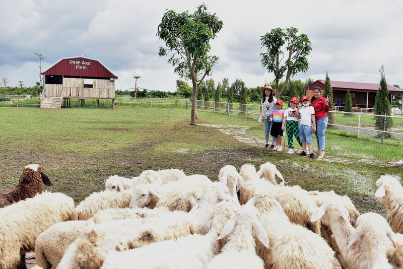 Trang trại quy mô nhỏ (trang trại gia đình)