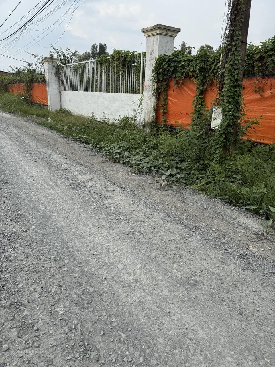 Đất nền Bình Chánh 5.600m² - Mặt tiền Kênh 7, giao thông thuận tiện!