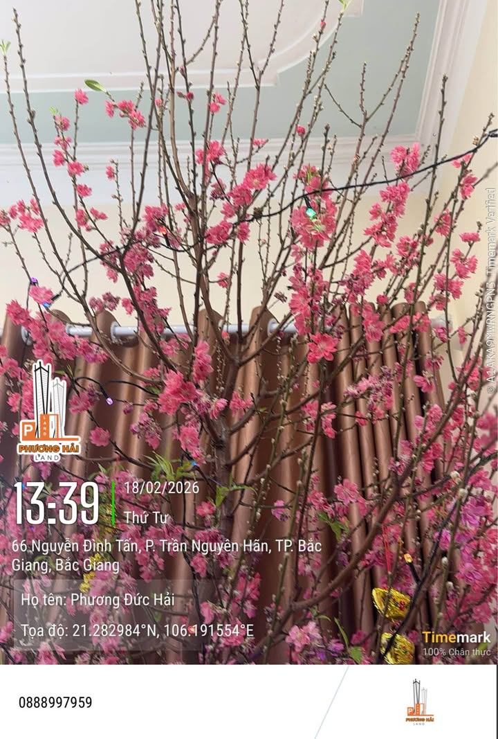 Bán cặp lô góc Việt Bách 200m² - Vị trí vàng kinh doanh đắc địa!