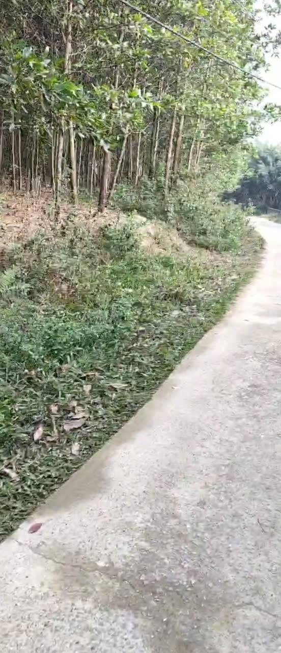 Đất Đồng Tâm Lạc Thủy 400m² giá 100 triệu - Đầu tư dài hạn tốt!