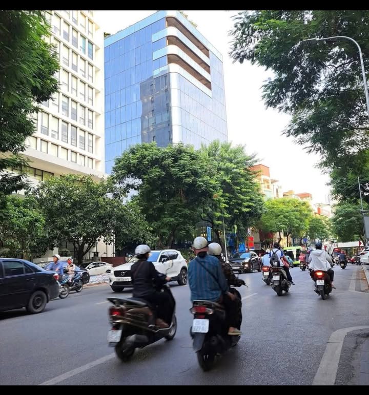 Đất nền Mễ Trì, Nam Từ Liêm 137m² - Mặt tiền 10.64m, Ô tô vào tận nhà!