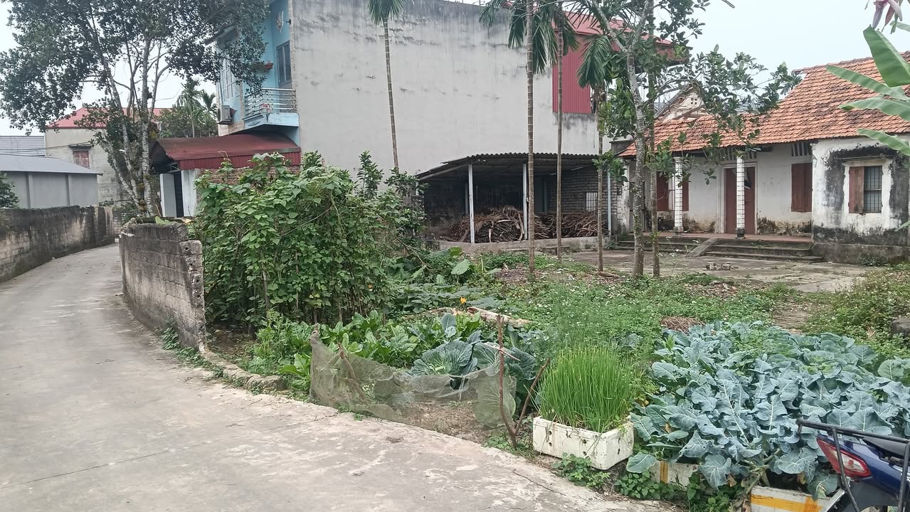 Đất nền Yên Thế, Bắc Giang 528m² - Tiềm năng tăng giá vượt trội!